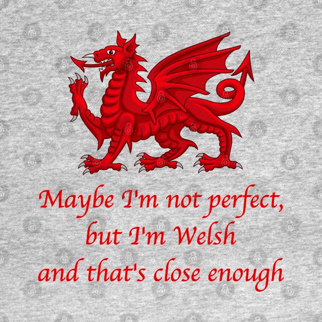 Maybe I'm not Perfect, but I'm Welsh..... by SteveHClark